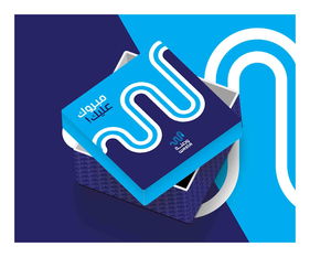 wasla 融合科技與潮流的電子產品品牌形象設計